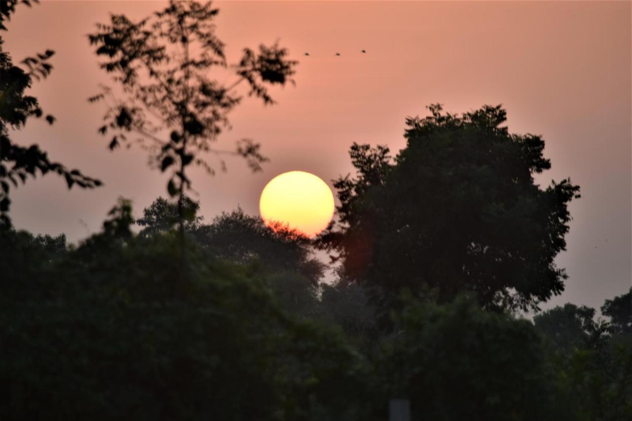 Ranthambhore Bagh Dwar Camp Apartment Khilchipur  Exterior photo