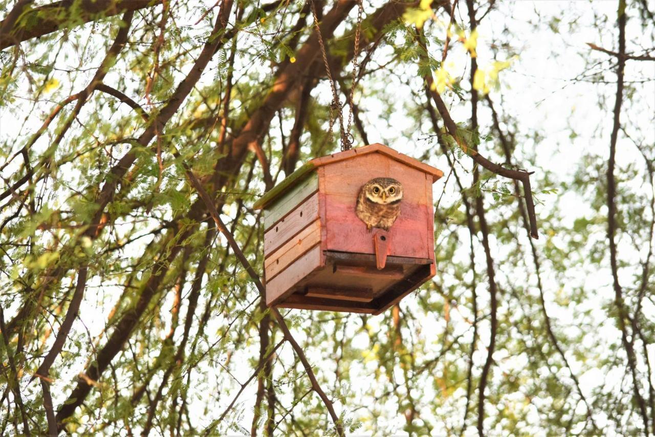 Ranthambhore Bagh Dwar Camp Apartment Khilchipur  Exterior photo